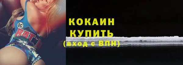 гидра Михайловск