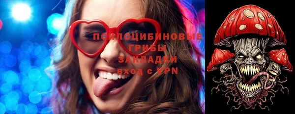мяу мяу мука Михайлов